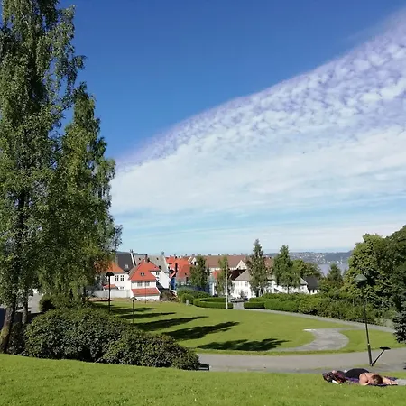 Spacious - Old Town